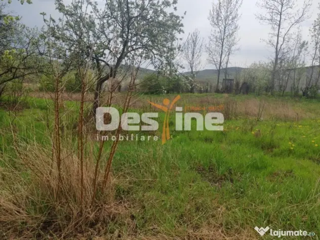 Teren intravilan in suprafata de 3160 mp, Puscasi, Poiana... - Poiana Lui Alexa (Vaslui)