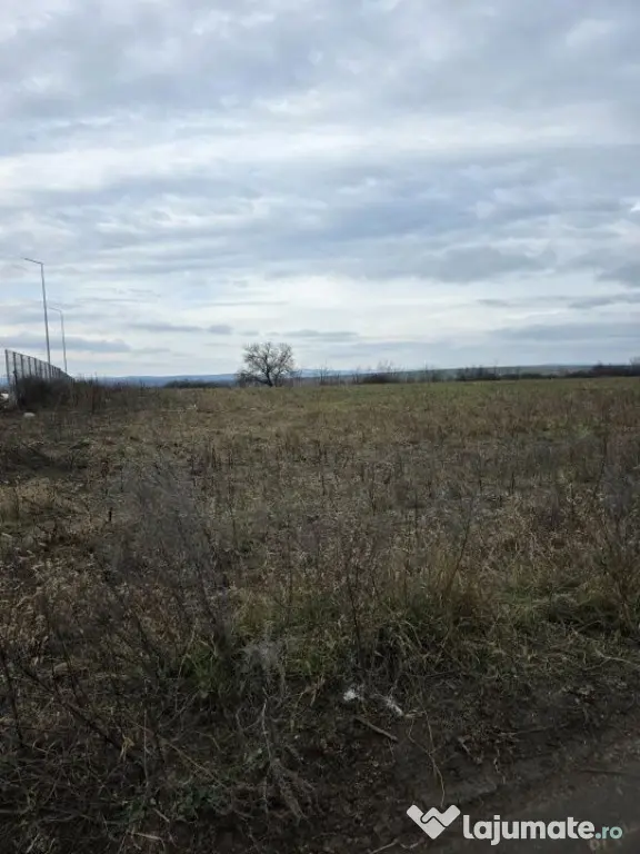 Teren intravilan 4028 mp, str Dimitrie Cantemir, Vaslui