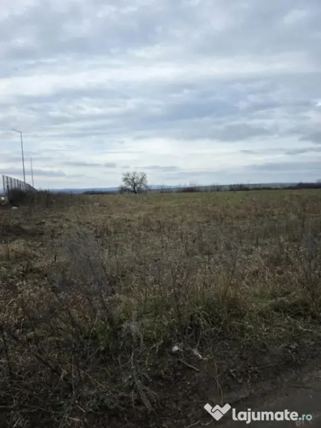 Teren intravilan 4028 mp, str Dimitrie Cantemir, Vaslui