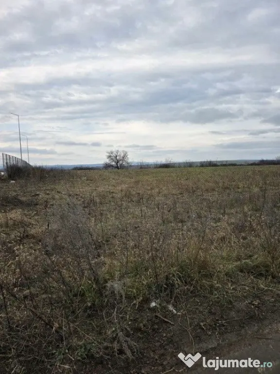 Teren intravilan 4028 mp, str Dimitrie Cantemir, Vaslui