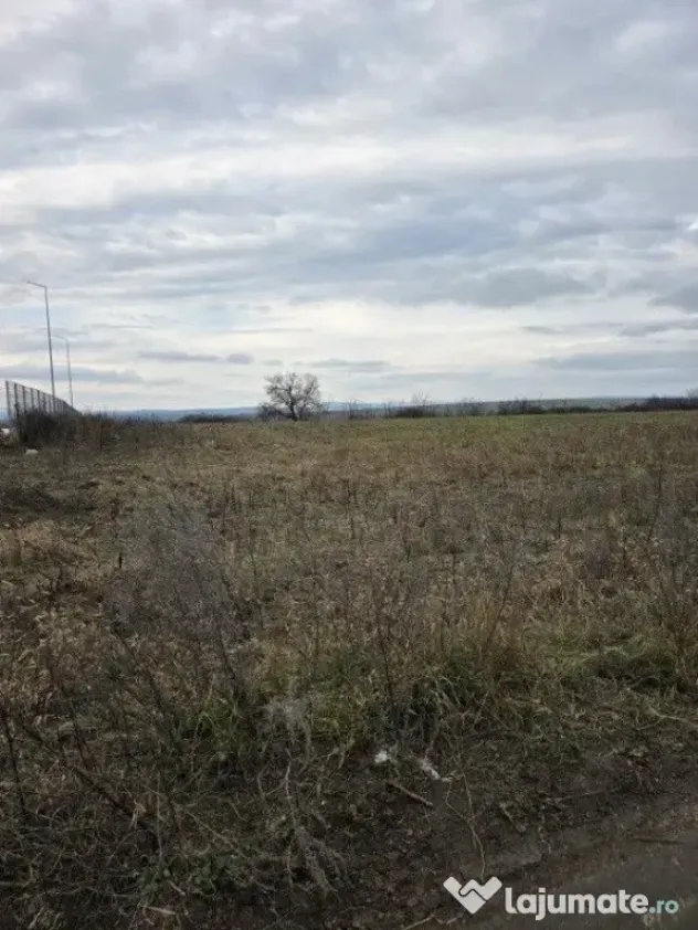 Teren intravilan 4028 mp, str Dimitrie Cantemir, Vaslui