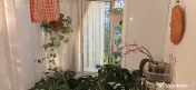 Apartament 3 camere decomandat Rovine 