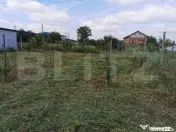 Teren intravilan de 978 mp, situat în Șimnicu de Sus, Dudo