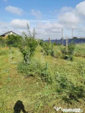 Teren intravilan de 978 mp, situat în Șimnicu de Sus, Dudo