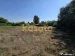 Teren de Vanzare 1177Mp - Țegheș