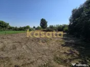 Teren de Vanzare 1177Mp - Țegheș