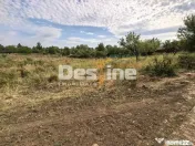 Teren intravilan 2170 mp la drum asfaltat - Chicerea 