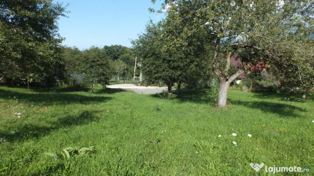Teren Bran Sohodol , o zona de vis, o priveliste unica spre