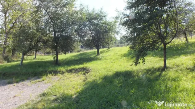 Teren Bran Sohodol , o zona de vis, o priveliste unica spre