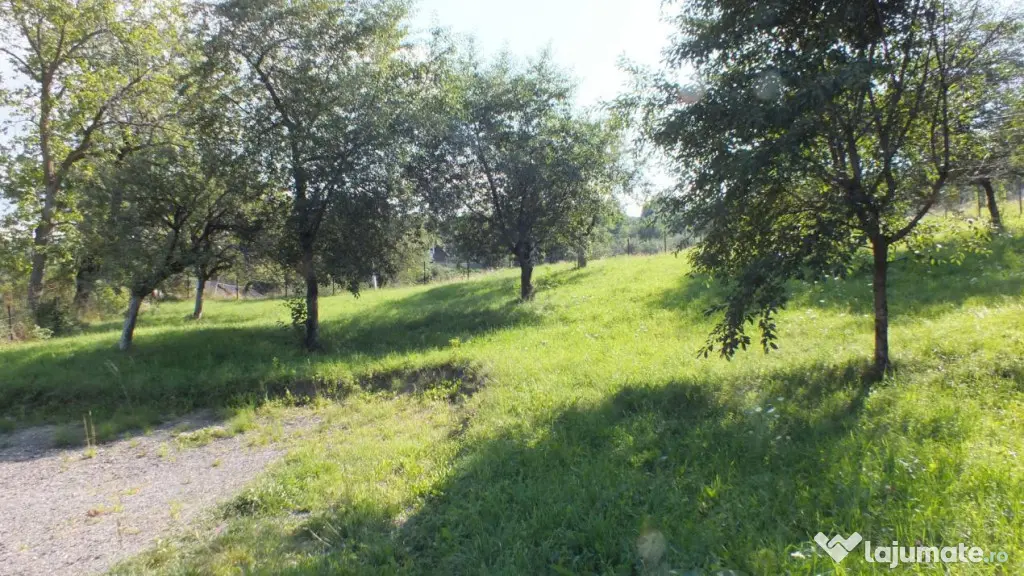 Teren Bran Sohodol , o zona de vis, o priveliste unica spre