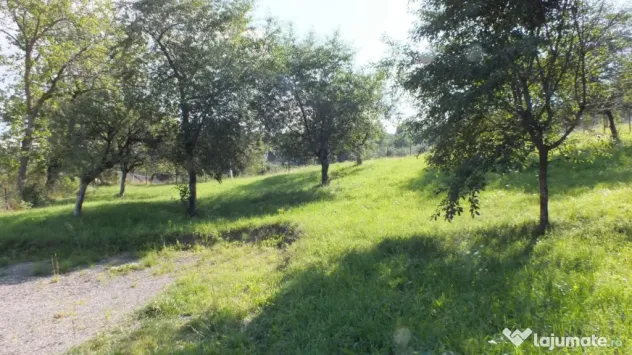 Teren Bran Sohodol , o zona de vis, o priveliste unica spre