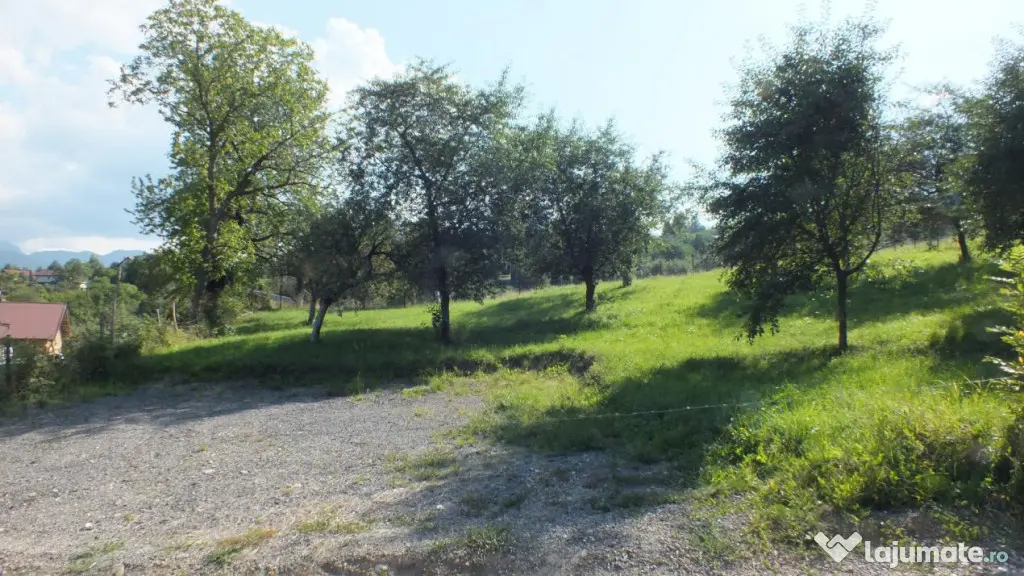 Teren Bran Sohodol , o zona de vis, o priveliste unica spre