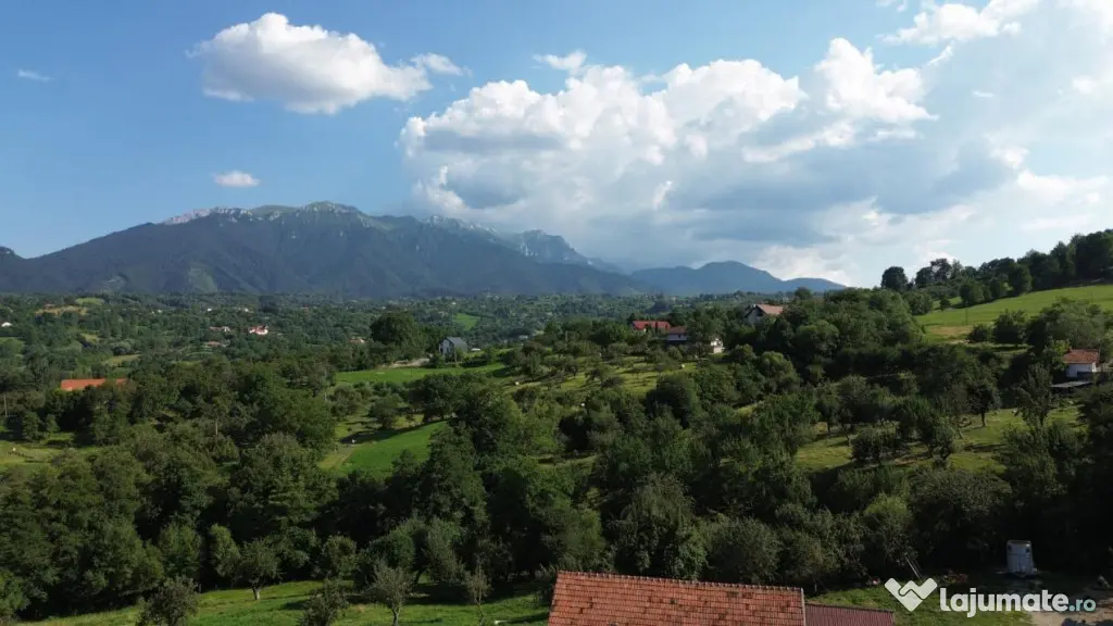 Teren Bran Sohodol , o zona de vis, o priveliste unica spre