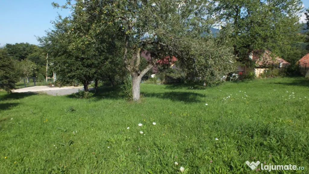 Teren Bran Sohodol , o zona de vis, o priveliste unica spre