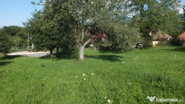 Teren Bran Sohodol , o zona de vis, o priveliste unica spre