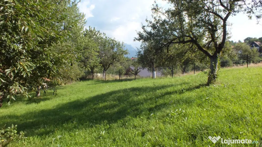 Teren Bran Sohodol , o zona de vis, o priveliste unica spre