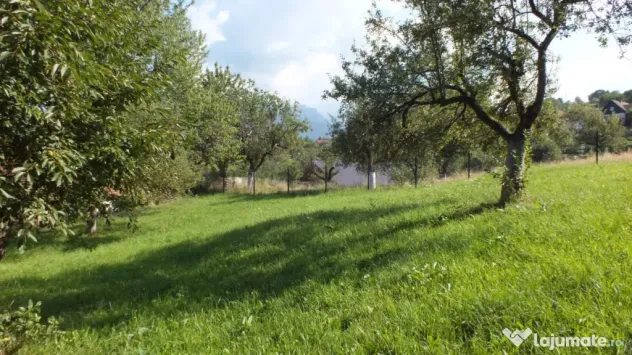 Teren Bran Sohodol , o zona de vis, o priveliste unica spre