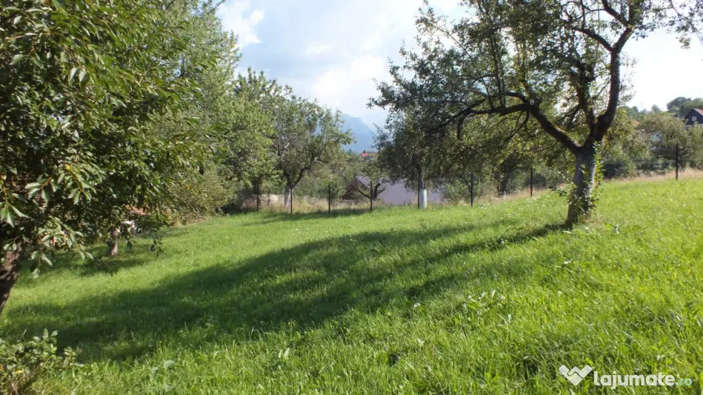Teren Bran Sohodol , o zona de vis, o priveliste unica spre