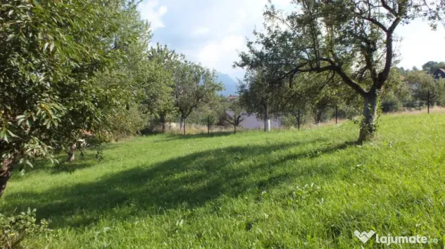Teren Bran Sohodol , o zona de vis, o priveliste unica spre