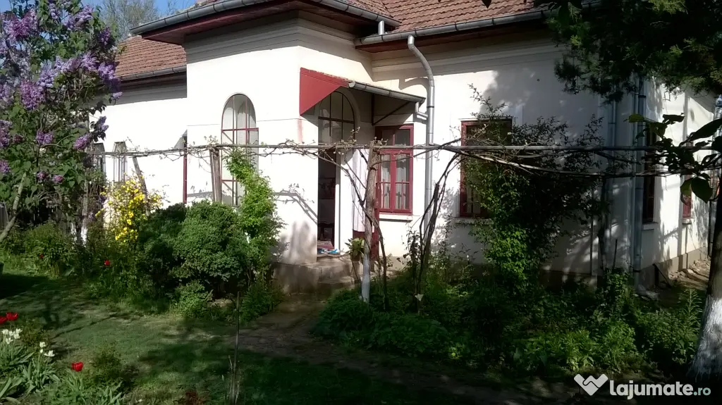 Vand casa locuibila in com. Giubega jud. Dolj