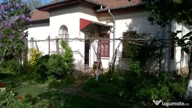 Vand casa locuibila in com. Giubega jud. Dolj