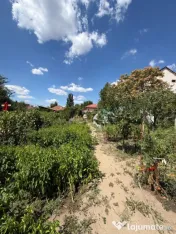 Spațiu, curte și intimitate: casă pe 1.300 mp în zona R? 