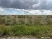 Teren de vânzare, 1.800 mp, zona Turda Cartier Primăverii 