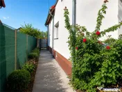 Casa cu 6 camere, 600 mp teren, pomi fructiferi, toate utili 