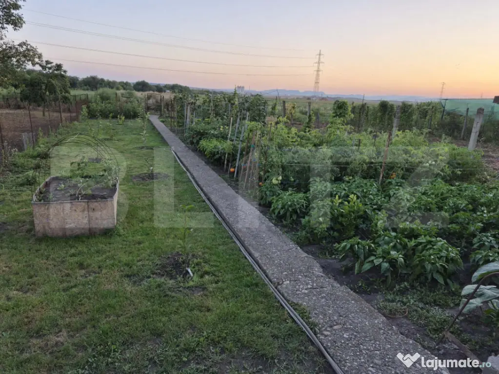 Casă cu 3 camere plus extindere facuta in 2022, grădină a