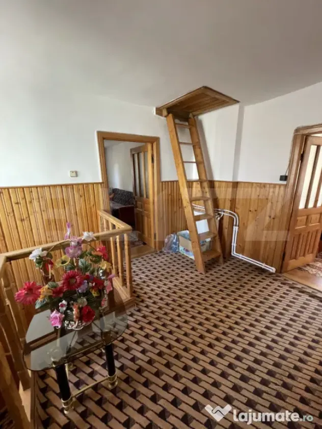 Casă Spațioasă cu Iaz Privat și 2.500 mp teren - în Fă