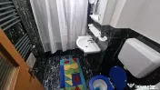 Apartament 2 camere Gemeni 
