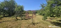 Teren intravilan de vanzare 3375 mp in Brebu