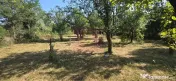Teren intravilan de vanzare 3375 mp in Brebu 