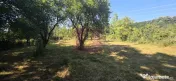 Teren intravilan de vanzare 3375 mp in Brebu