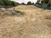 Teren 3.000 mp, cu autorizație și utilități 