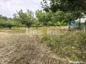 Teren 3.000 mp, cu autorizație și utilități 