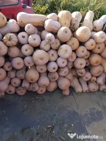 Dovleci Plăcintari și de Copt