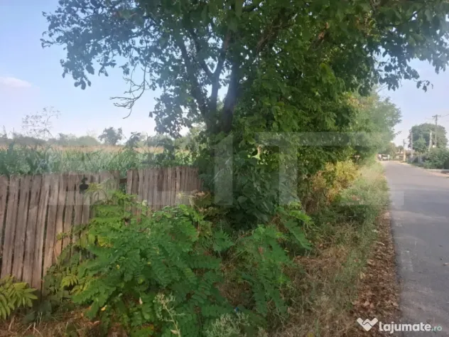 Teren de vanzare, 2800 mp, zona Gura Foi - Gura Foii (Dambovita)