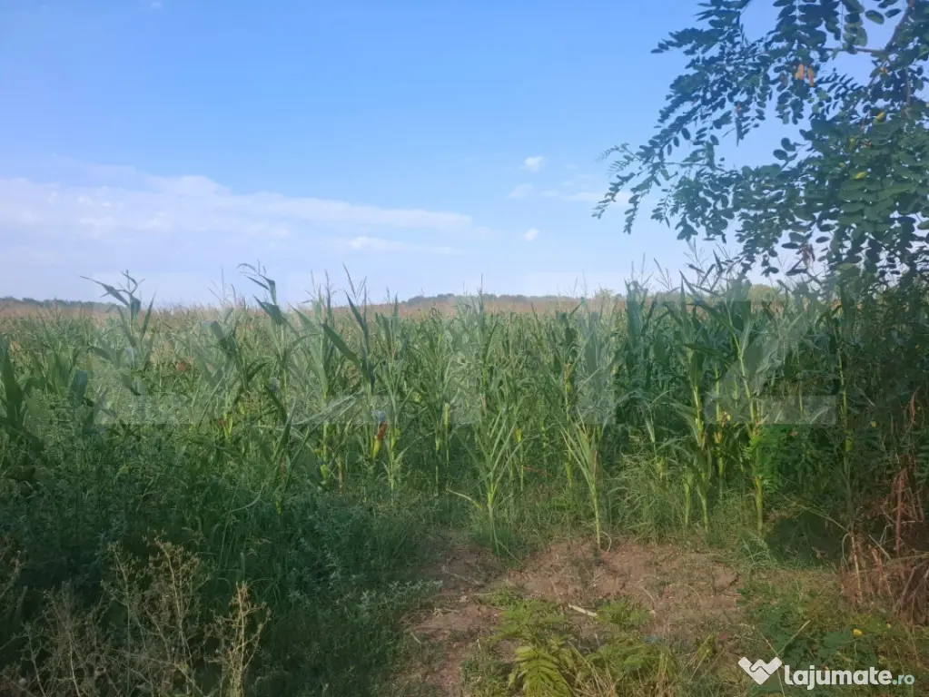 Teren de vanzare, 2800 mp, zona Gura Foi - Gura Foii (Dambovita)