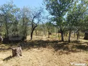 Casa 2 camere, teren 2200 mp, Homorodu de Mijloc 