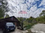 VÂNZARE Teren intravilan în Provița de Jos 