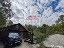 VÂNZARE Teren intravilan în Provița de Jos