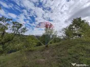 VÂNZARE Teren intravilan în Provița de Jos 