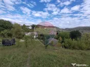 VÂNZARE Teren intravilan în Provița de Jos 