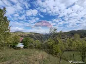 VÂNZARE Teren intravilan în Provița de Jos 