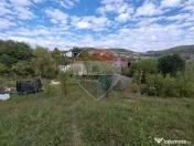 VÂNZARE Teren intravilan în Provița de Jos 