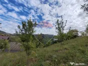 VÂNZARE Teren intravilan în Provița de Jos 