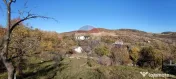 VÂNZARE Teren intravilan în Provița de Jos 