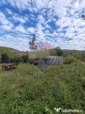 VÂNZARE Teren intravilan în Provița de Jos 