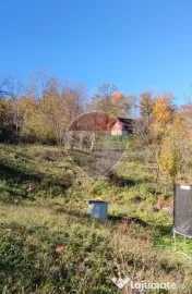 VÂNZARE Teren intravilan în Provița de Jos 